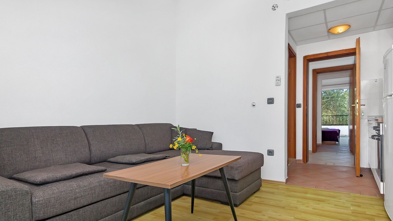 Photo of Livingroom in Pokrivenik