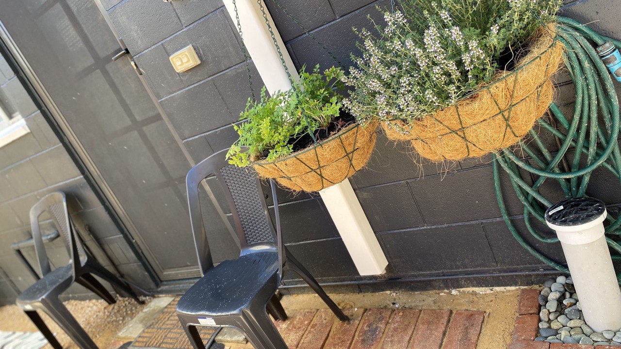 Photo of Others in Loch Sport