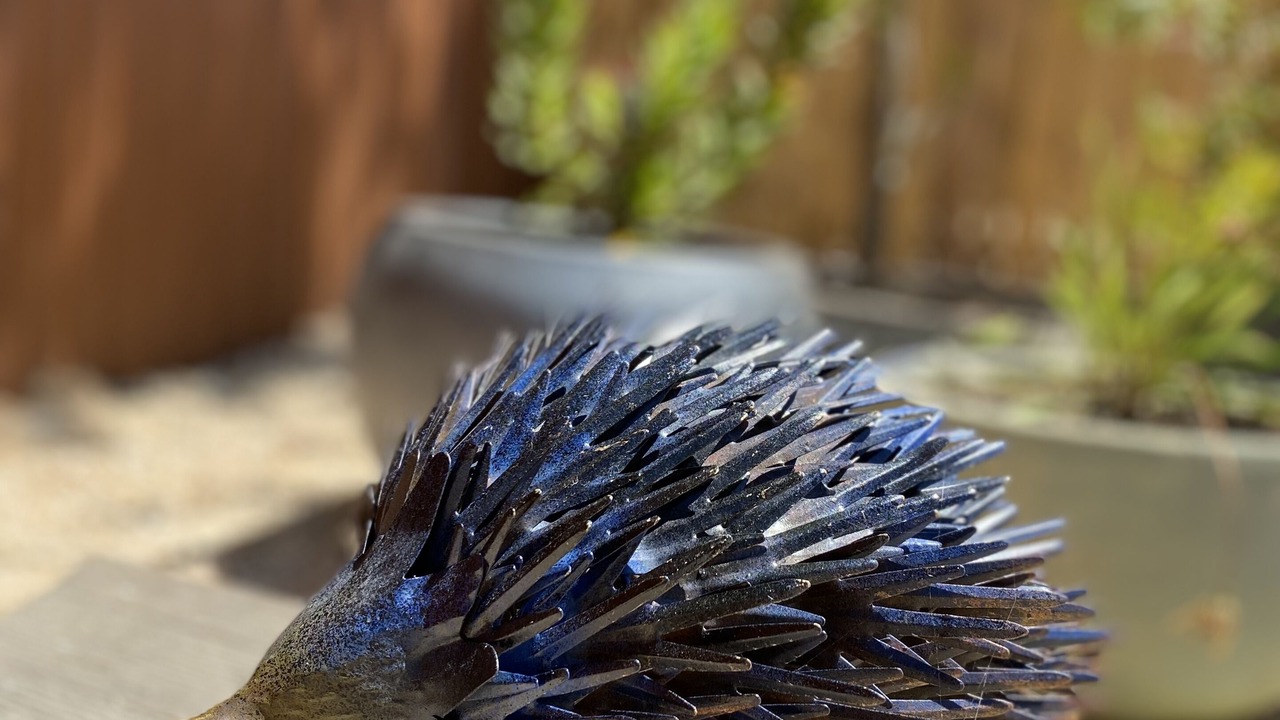 Photo of Others in Loch Sport