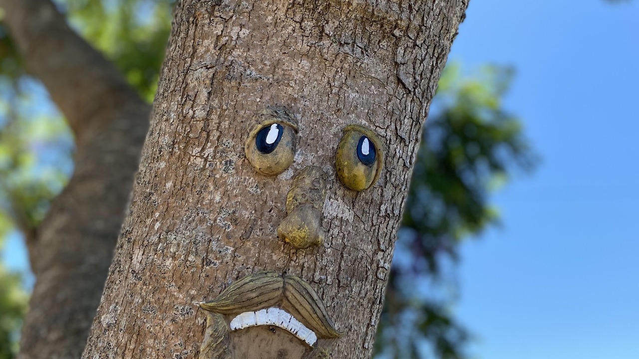 Photo of Others in Loch Sport