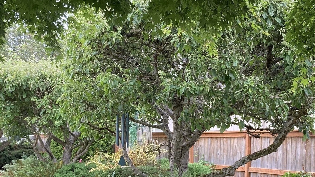 Photo of Outdoor in Sequim