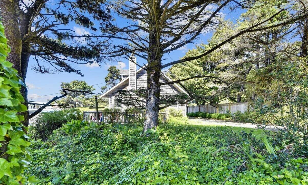 Photo of Others in Arch Cape