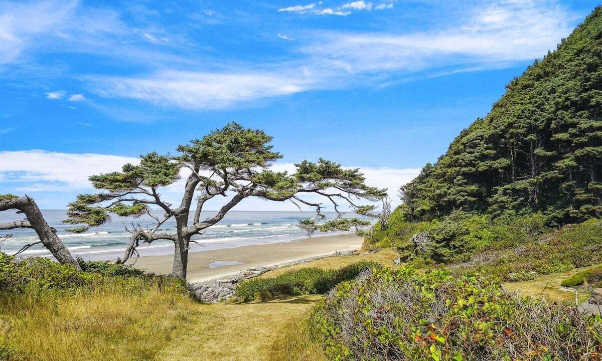 Photo of Others in Arch Cape