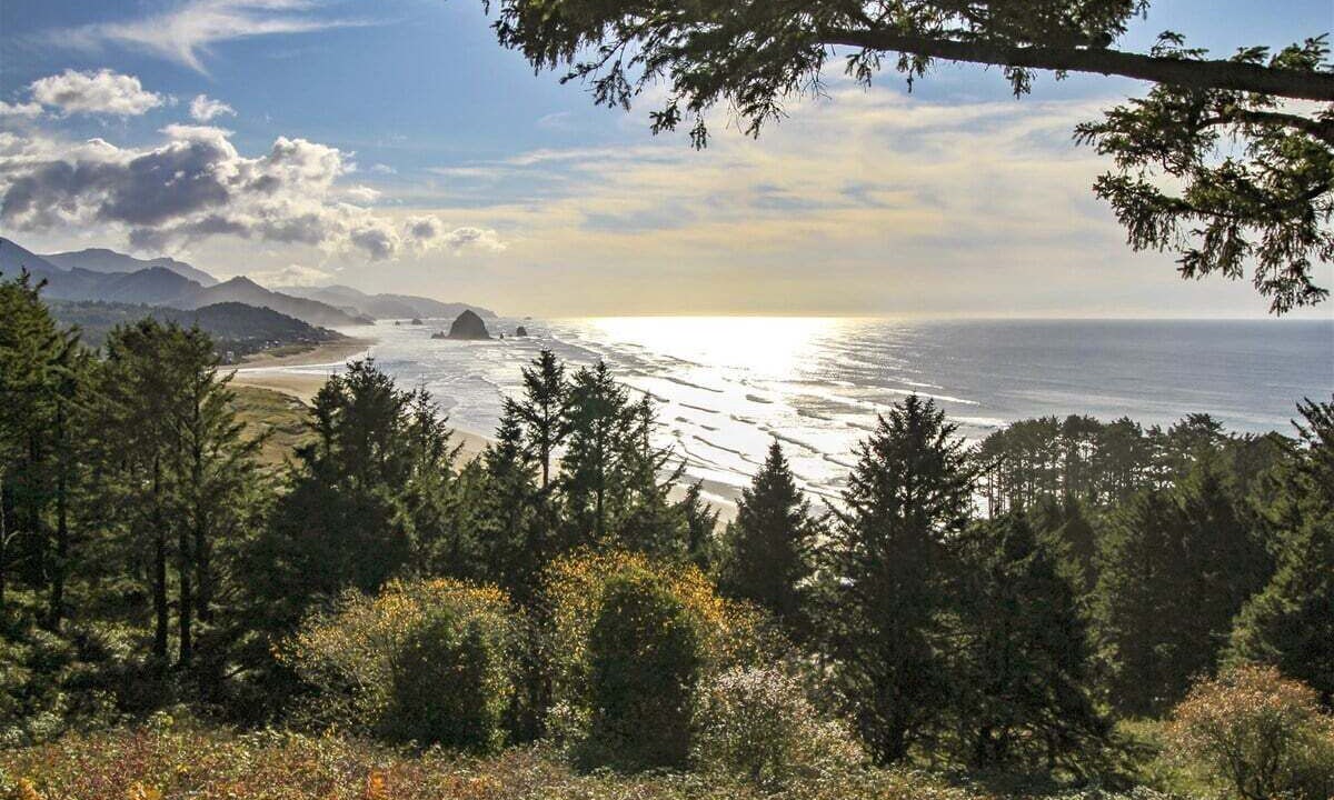 Photo of Others in Cannon Beach