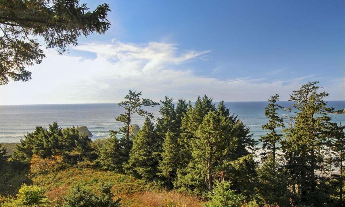 Photo of Others in Cannon Beach