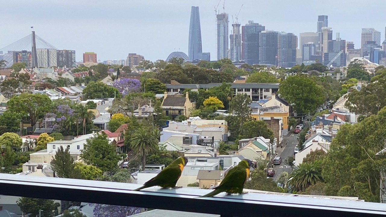 Photo of Outdoor in Camperdown