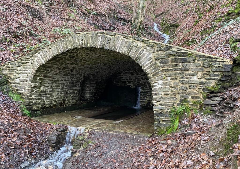 Photo of Others in Haulme