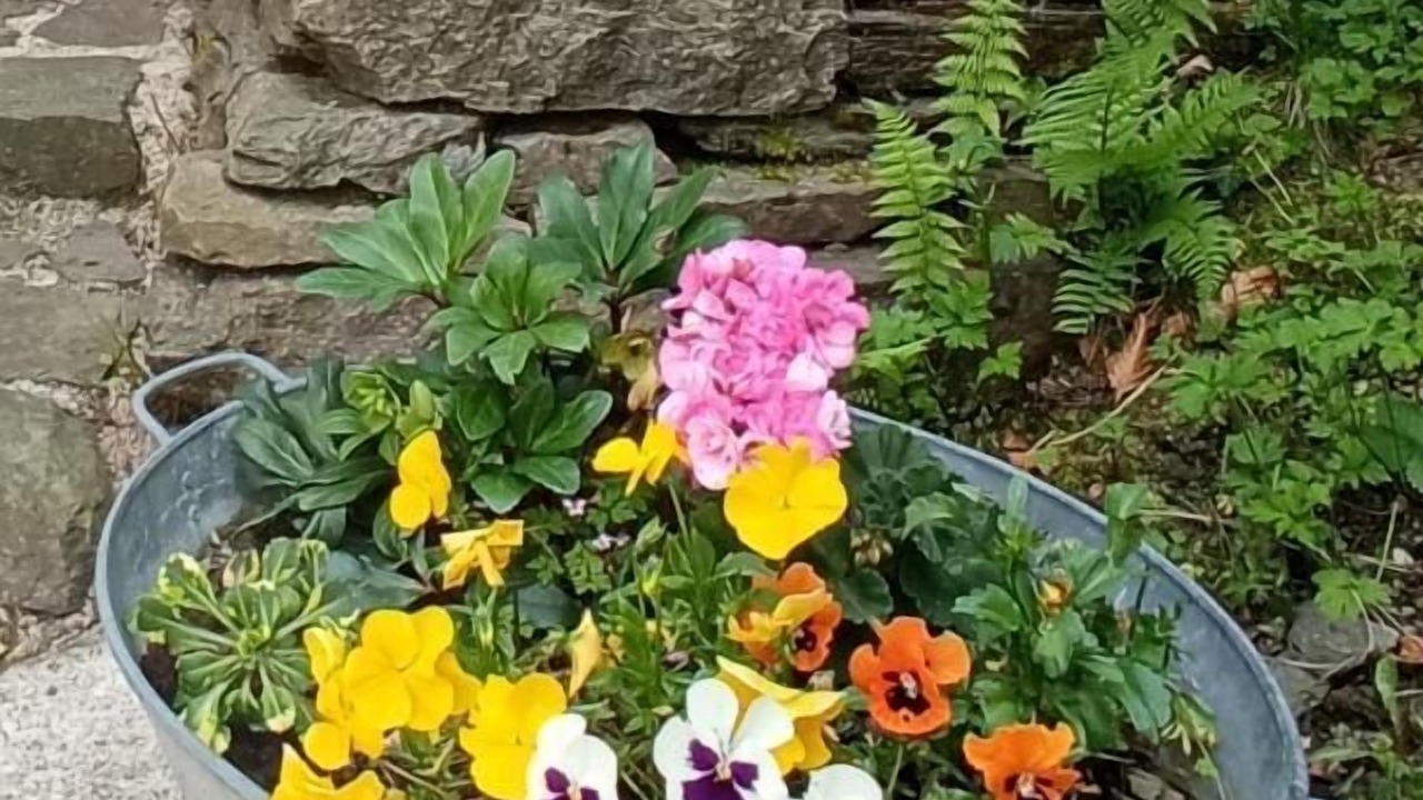 Photo of Outdoor in Haulme