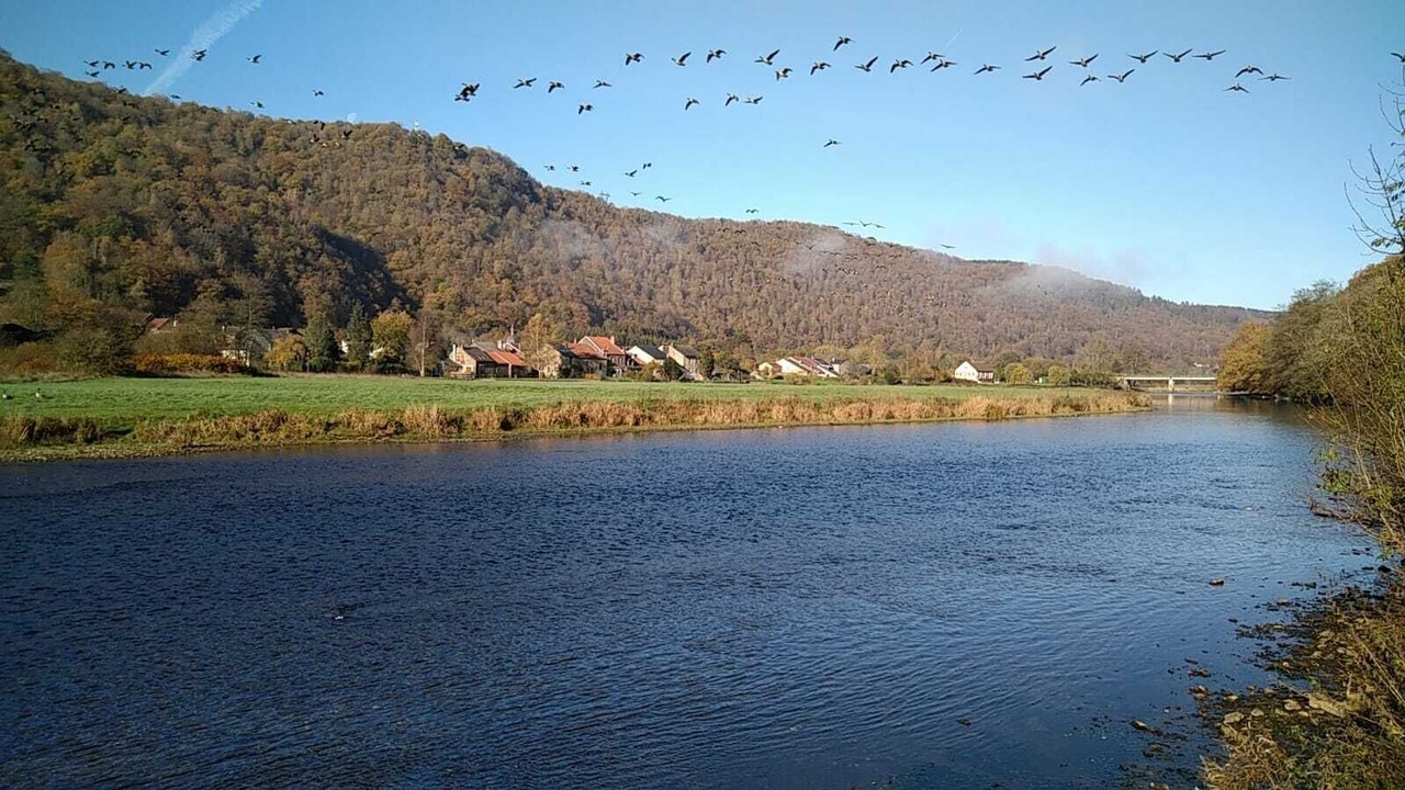 Photo of Others in Haulme