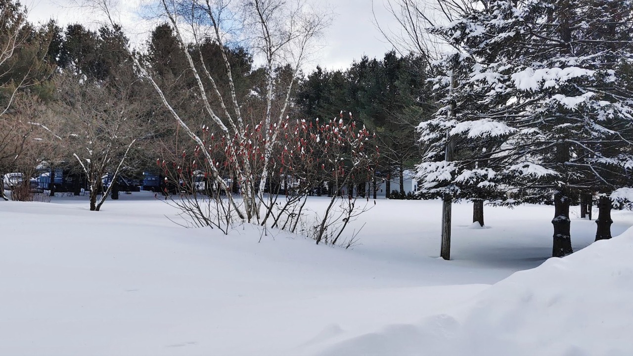 Photo of Outdoor in Saint-Etienne-de-Lauzon