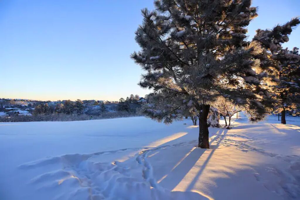 Photo of Others in Castle Rock