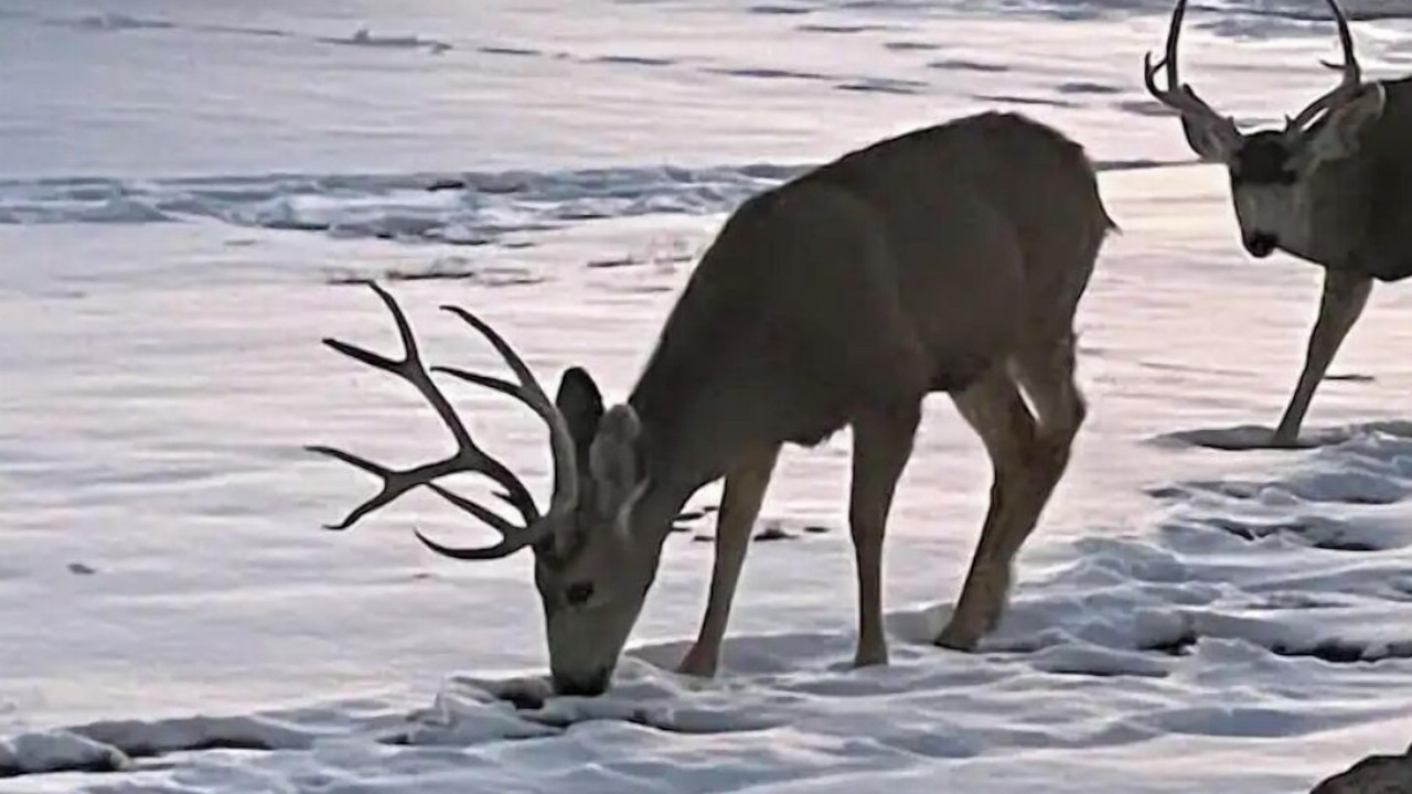 Photo of Others in Castle Rock
