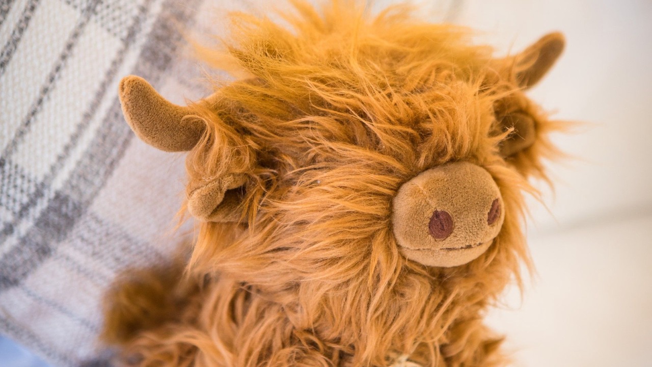 Photo of Others in Kingswear