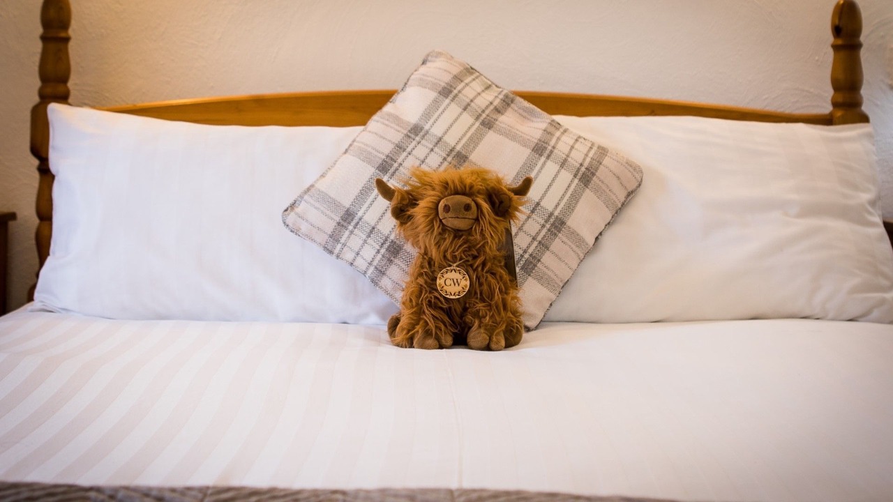 Photo of Bedroom in Kingswear