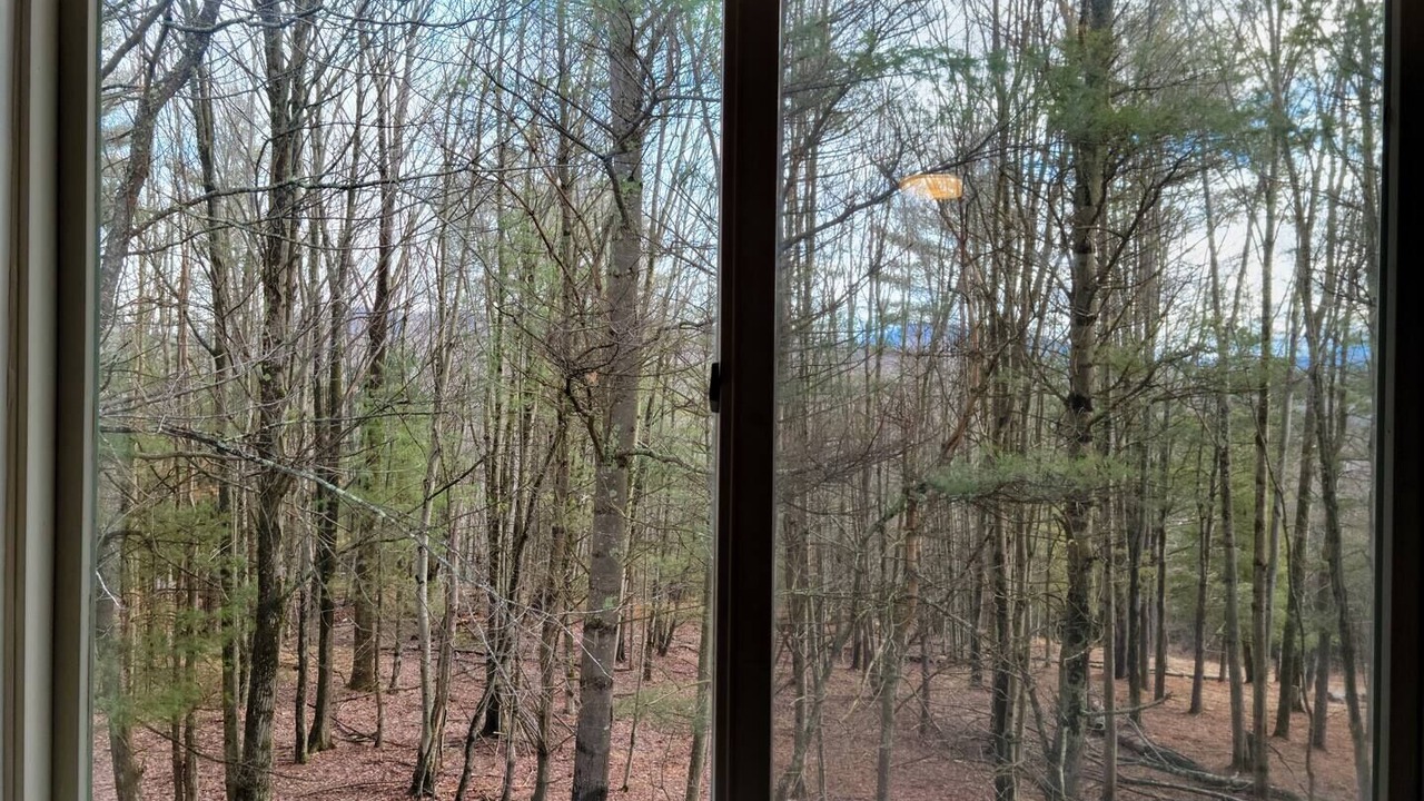 Photo of Others in Windham