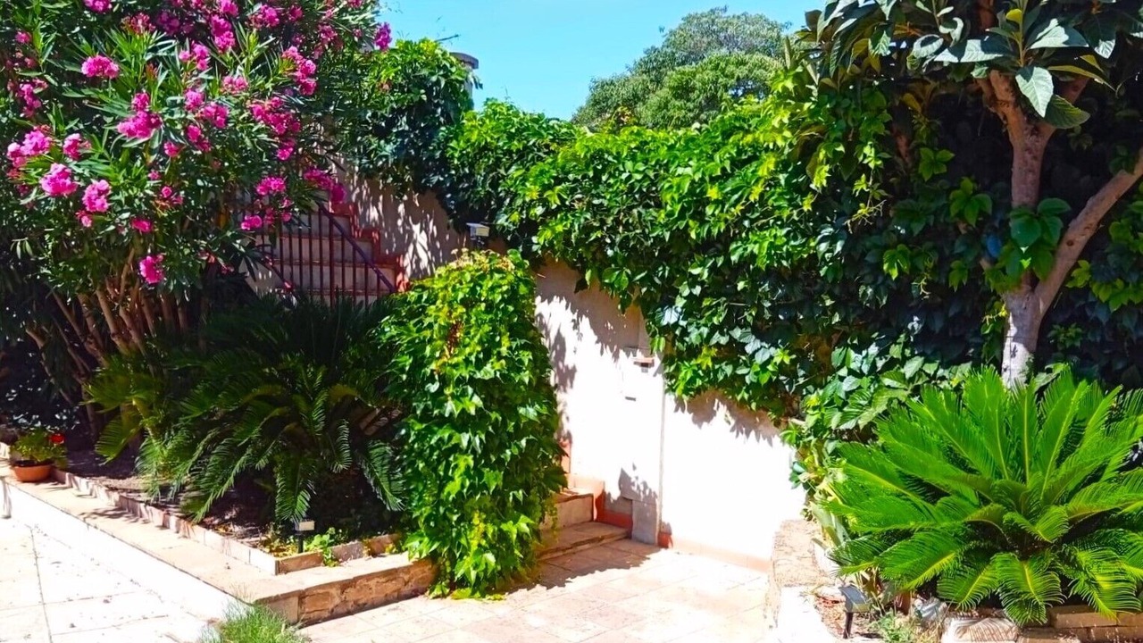 Photo of Outdoor in Vedene