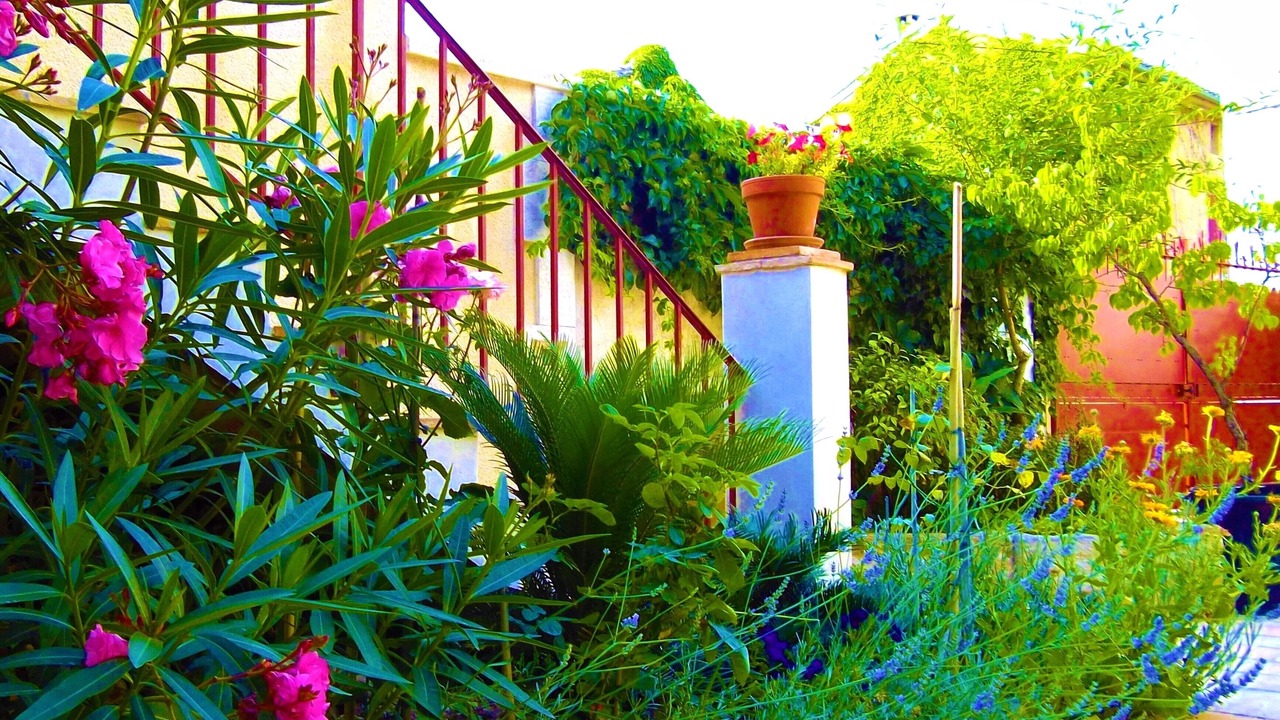 Photo of Outdoor in Vedene