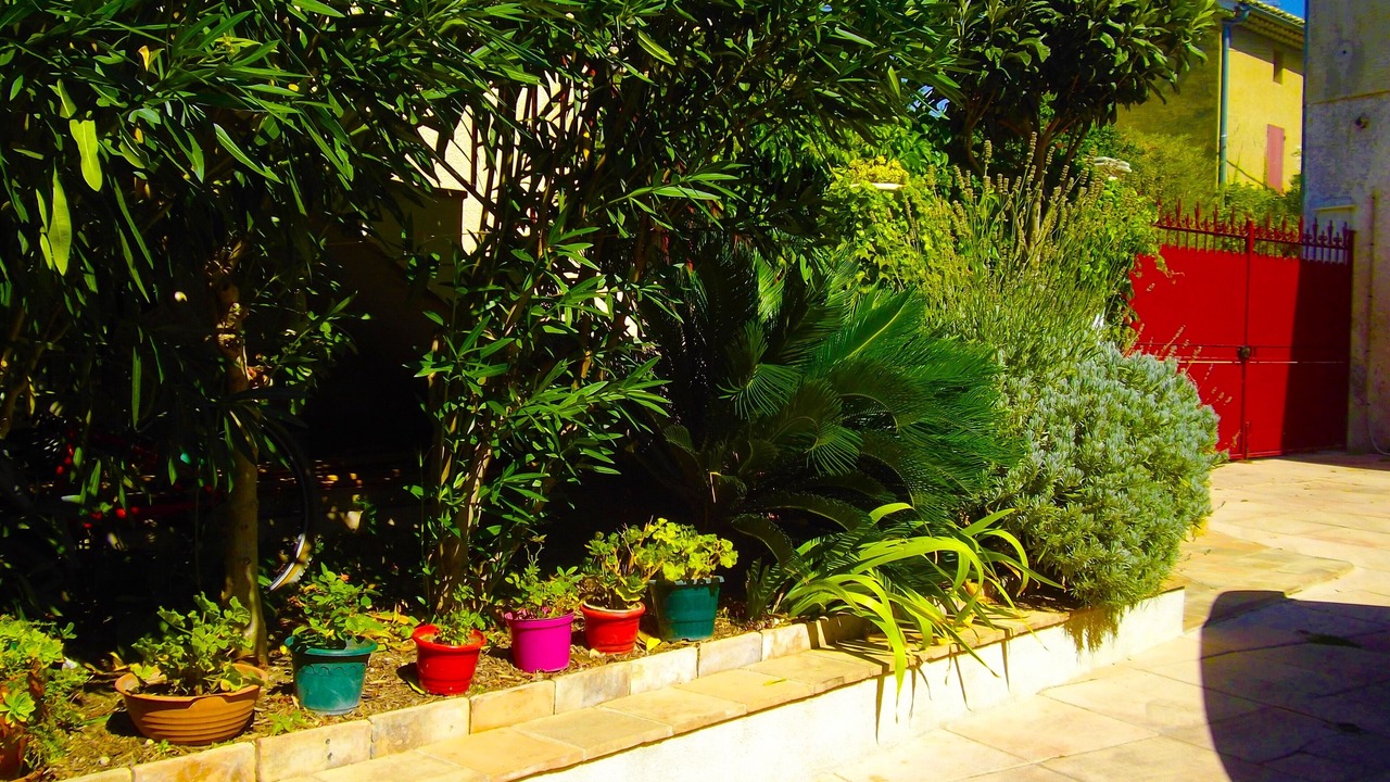 Photo of Outdoor in Vedene