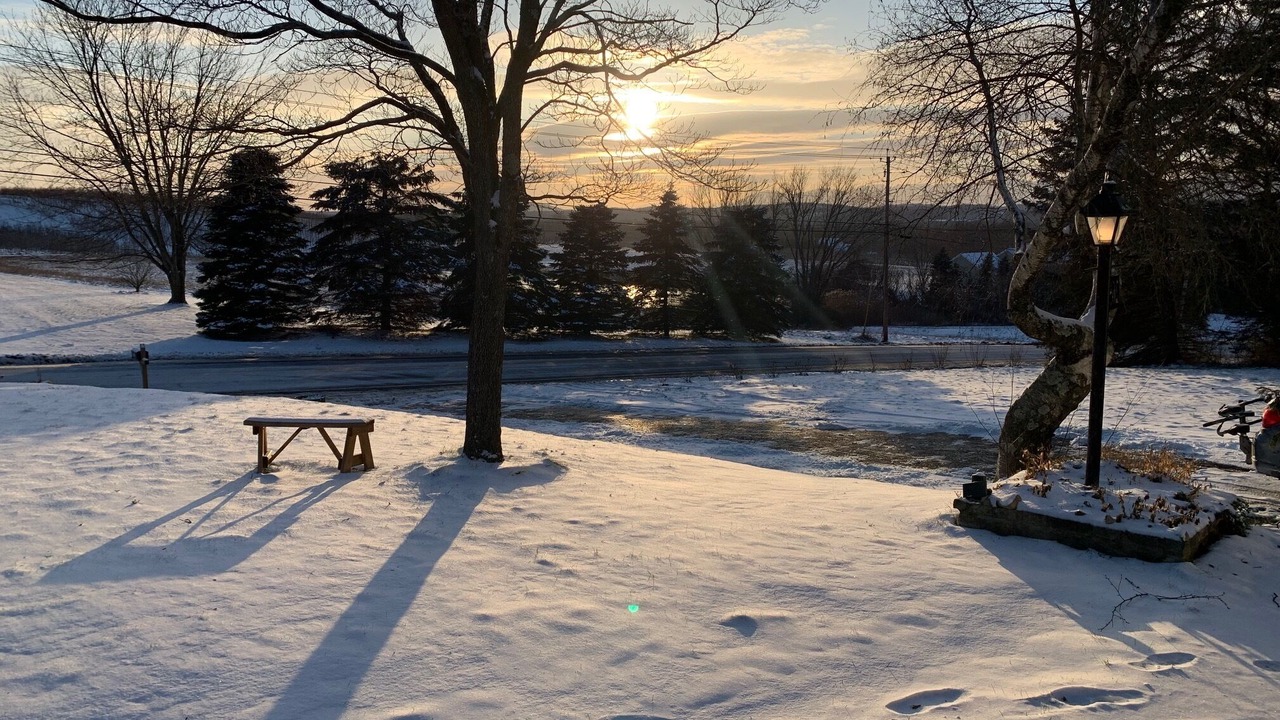 Photo of Others in Hollowville