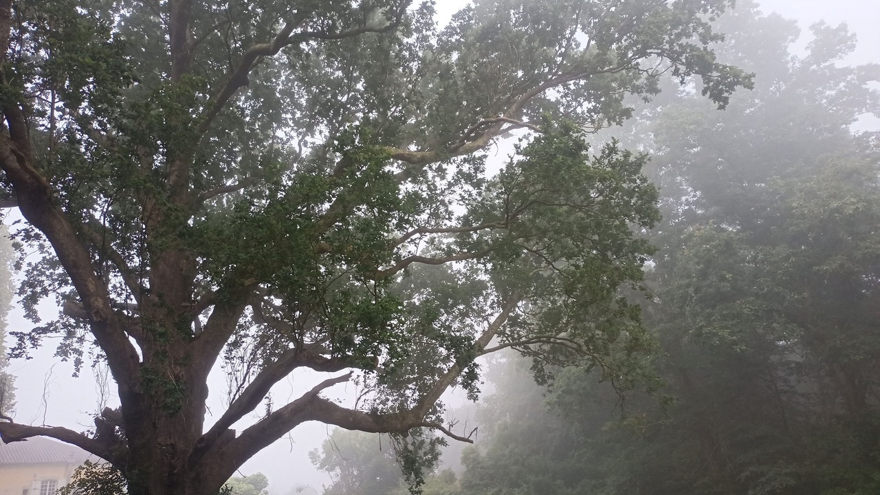 Photo of Outdoor in Sainte-Marie-de-Gosse