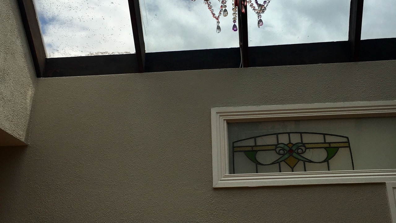 Photo of Others in Fitzroy North