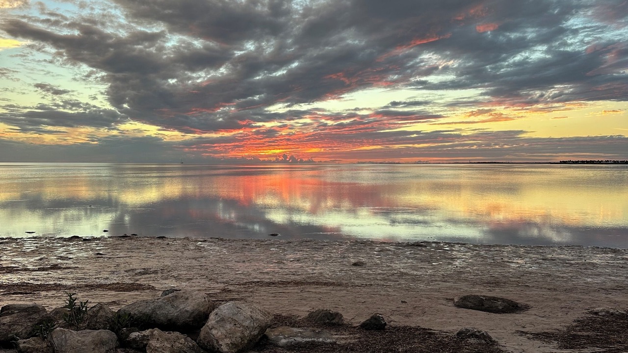 Photo of Others in Tarpon Springs