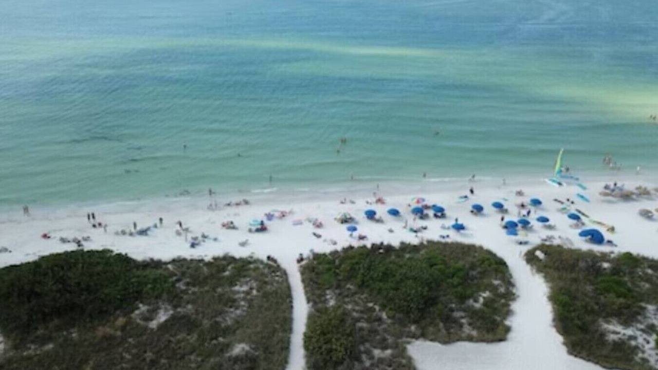 Photo of Others in Siesta Key