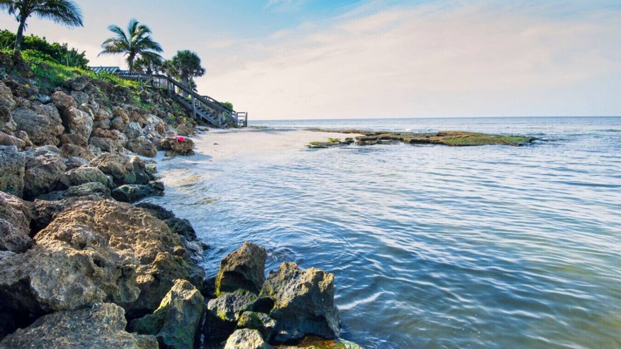 Photo of Others in Siesta Key