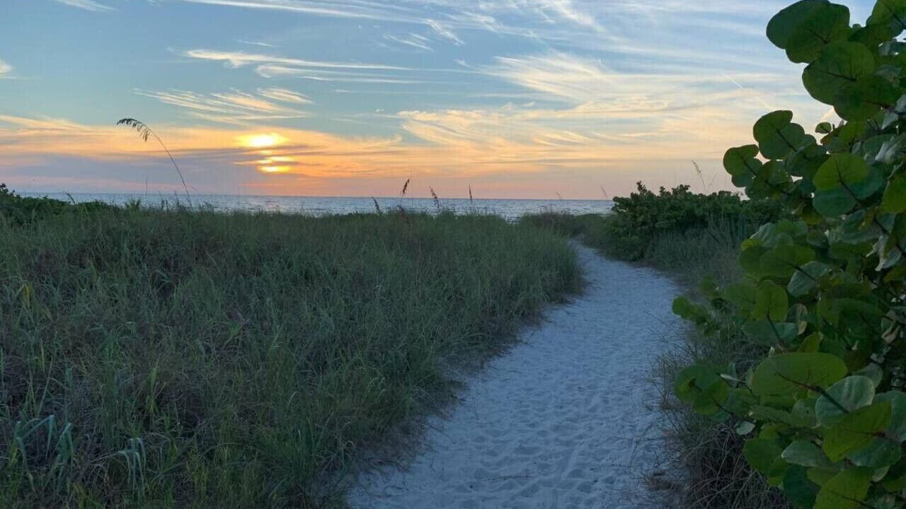 Photo of Others in Siesta Key
