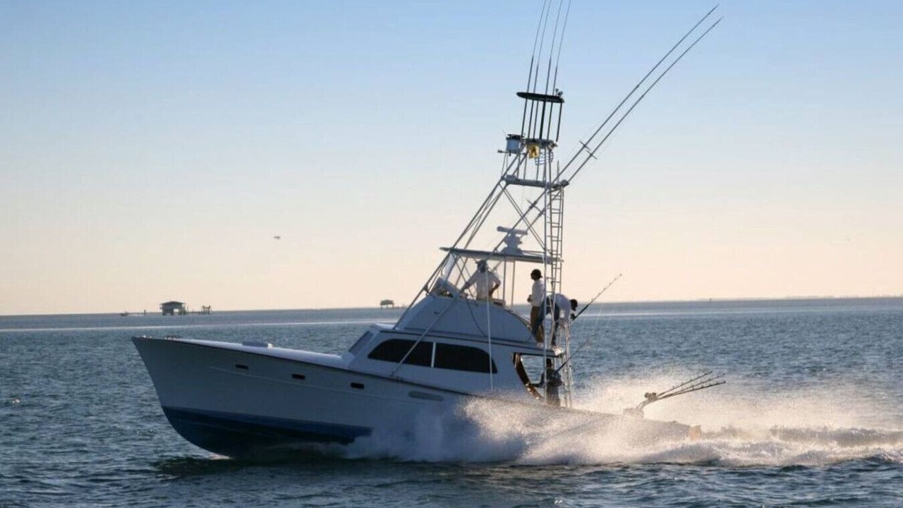 Photo of Others in Siesta Key