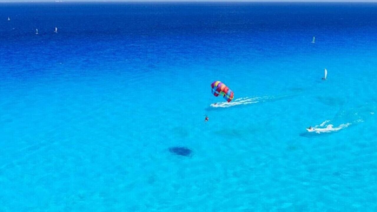 Photo of Outdoor in Siesta Key