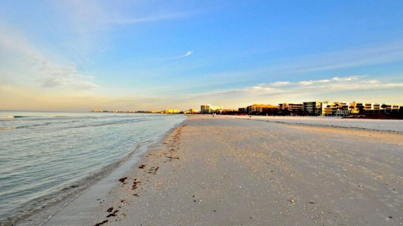 Photo of Others in Siesta Key