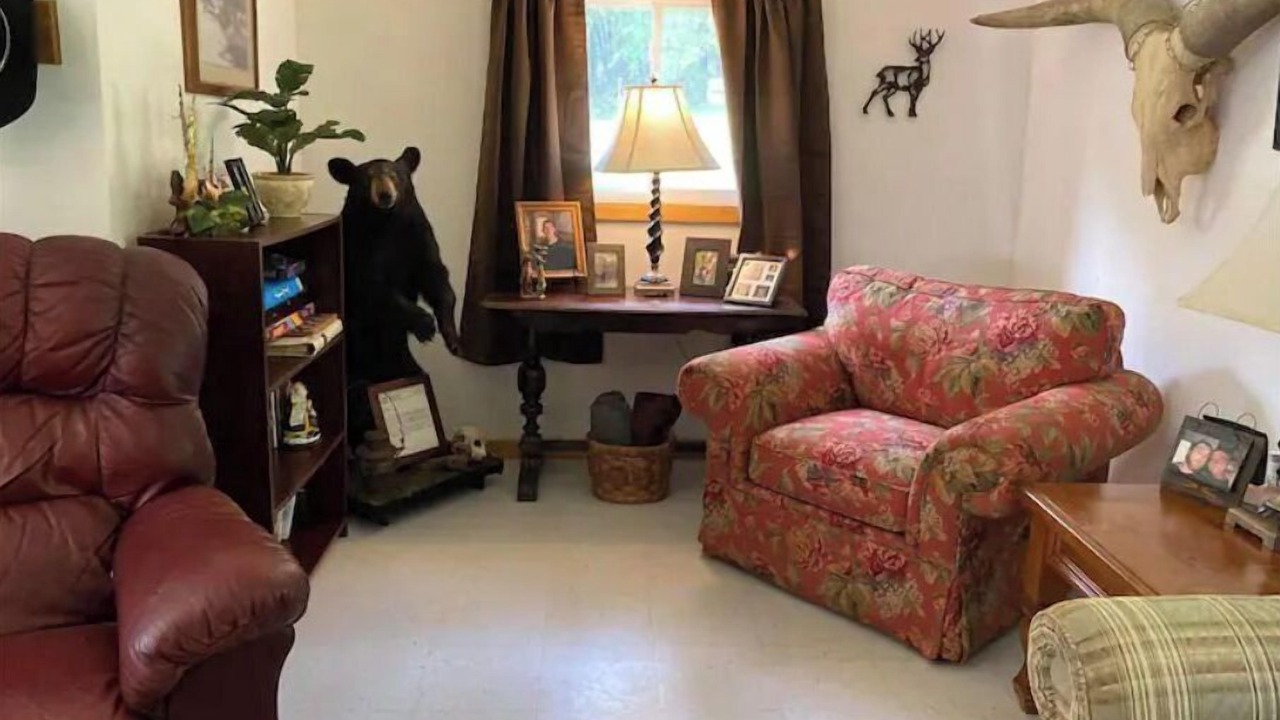Photo of Livingroom in Markleysburg