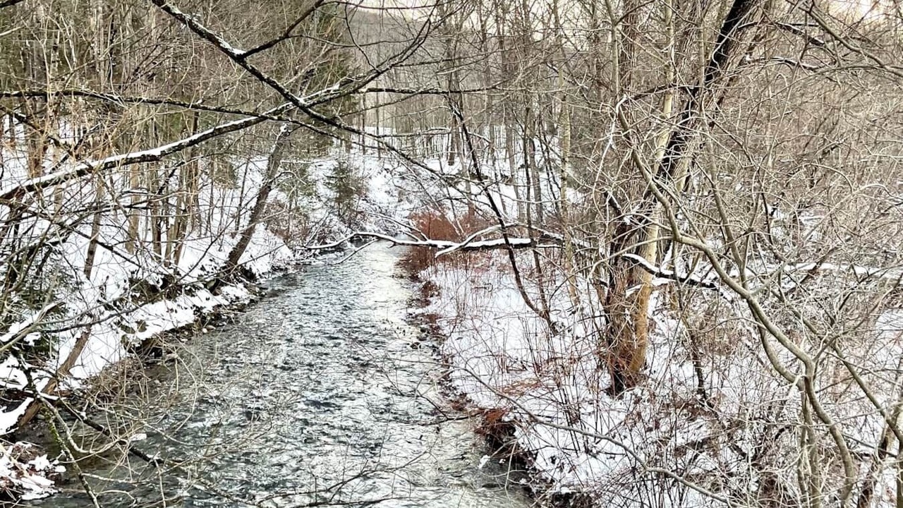 Photo of Others in Pittsfield