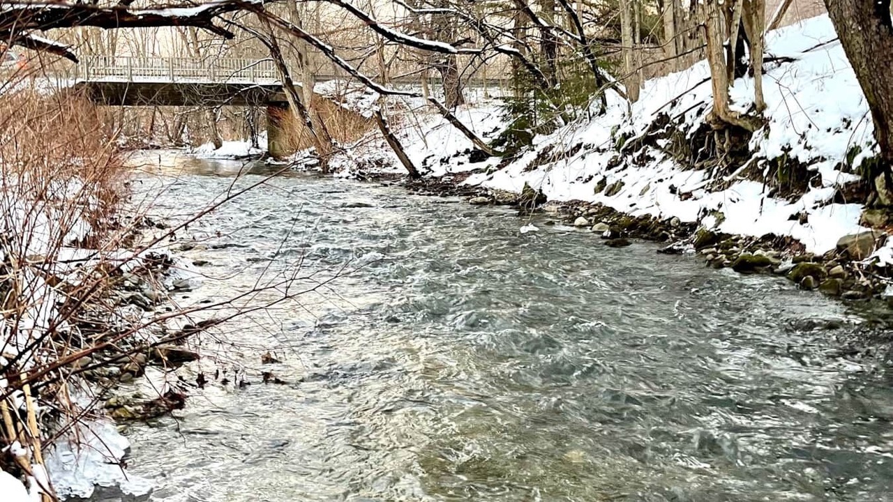 Photo of Others in Pittsfield