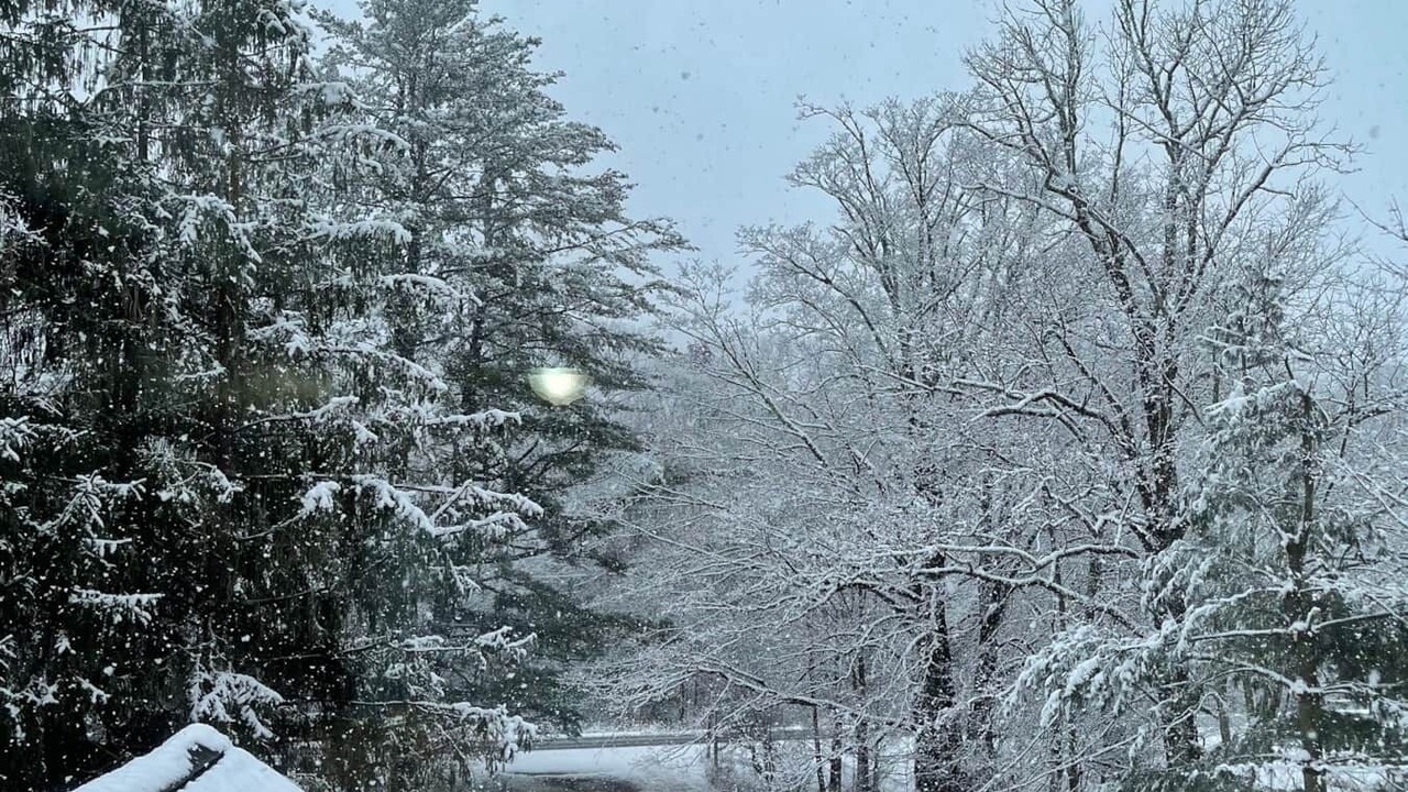 Photo of Others in Pittsfield