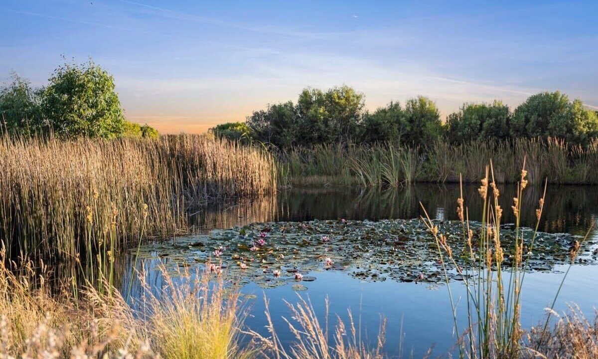 Photo of Others in Jan Juc