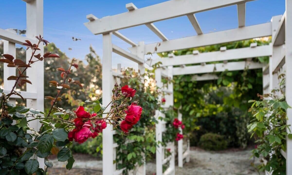 Photo of Others in Jan Juc