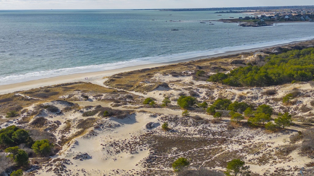 Photo of Others in Adamsville