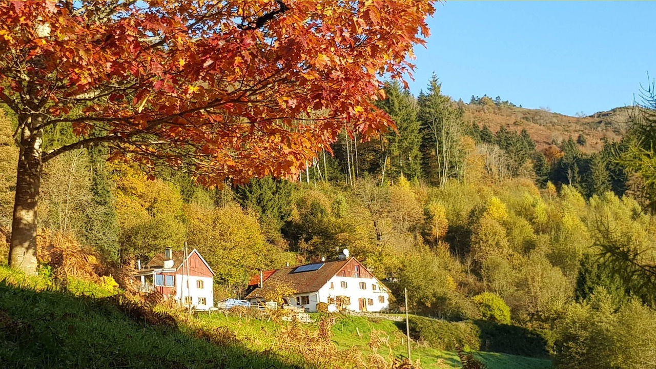 Photo of Outdoor in Rupt-sur-Moselle