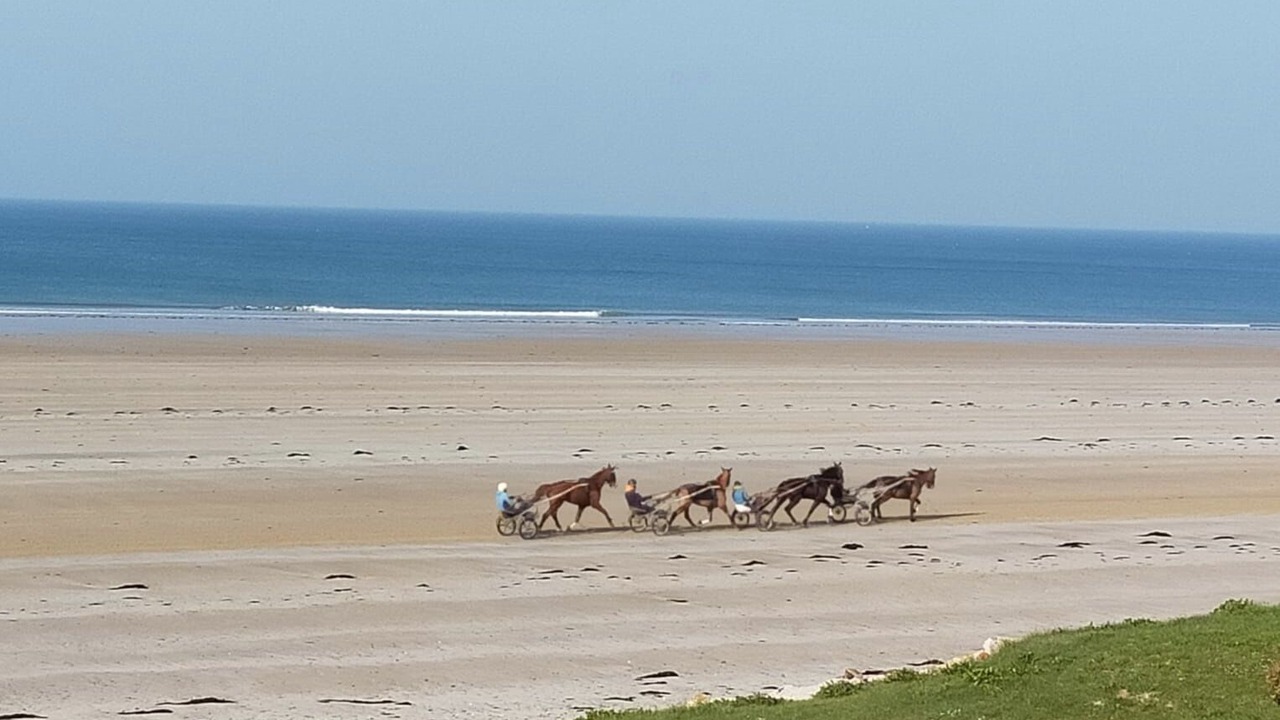 Photo of Others in Denneville