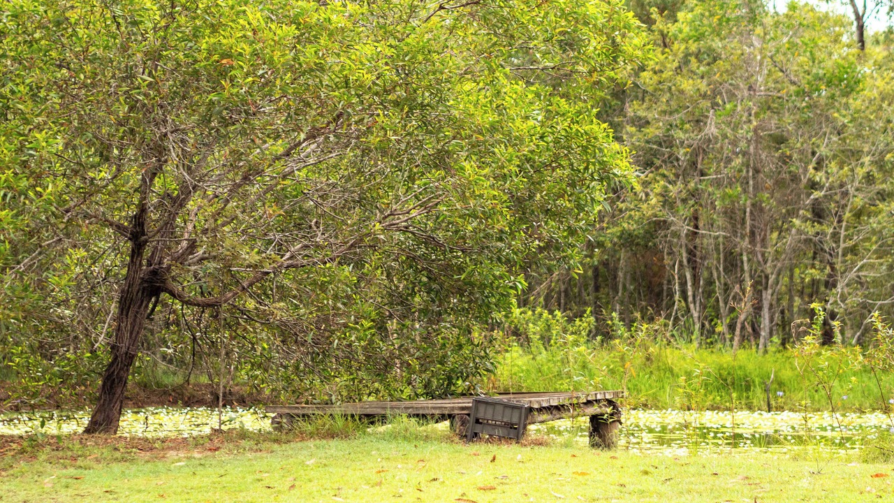 Photo of Others in Howard