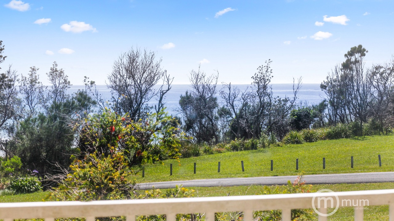 Photo of Outdoor in Dolphin Point