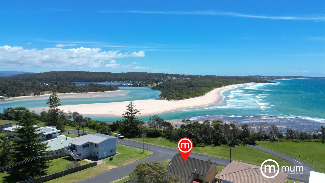 Photo of Others in Dolphin Point