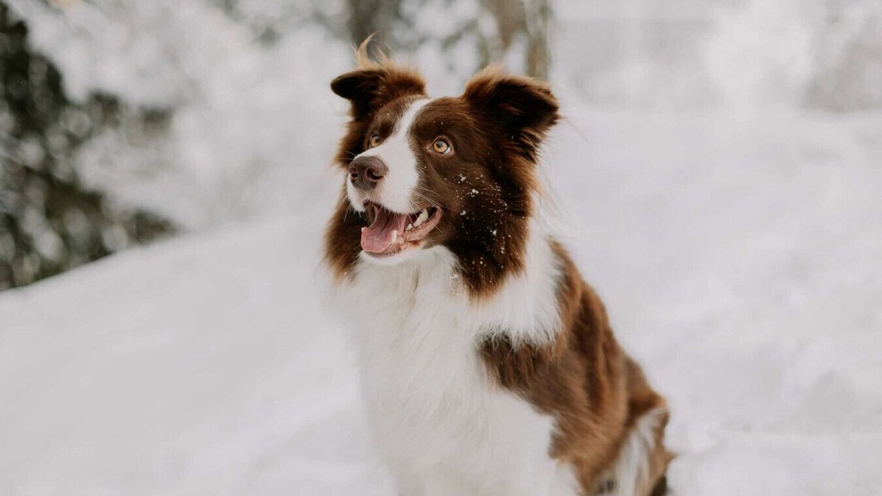 Photo of Others in Narrowsburg