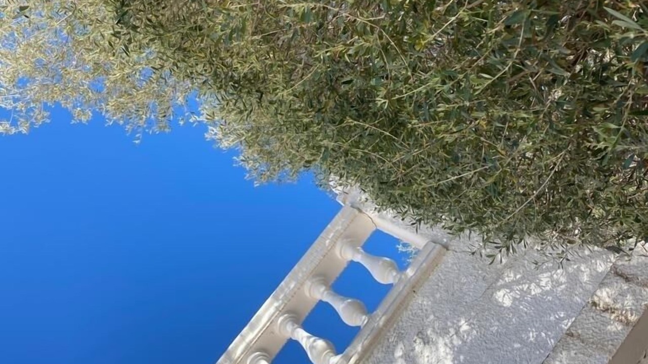 Photo of Outdoor in Almadraba-Canyelles