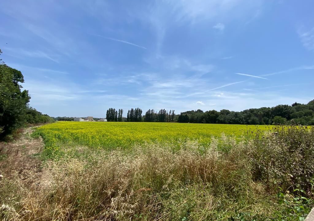 Photo of Outdoor in Perpignan