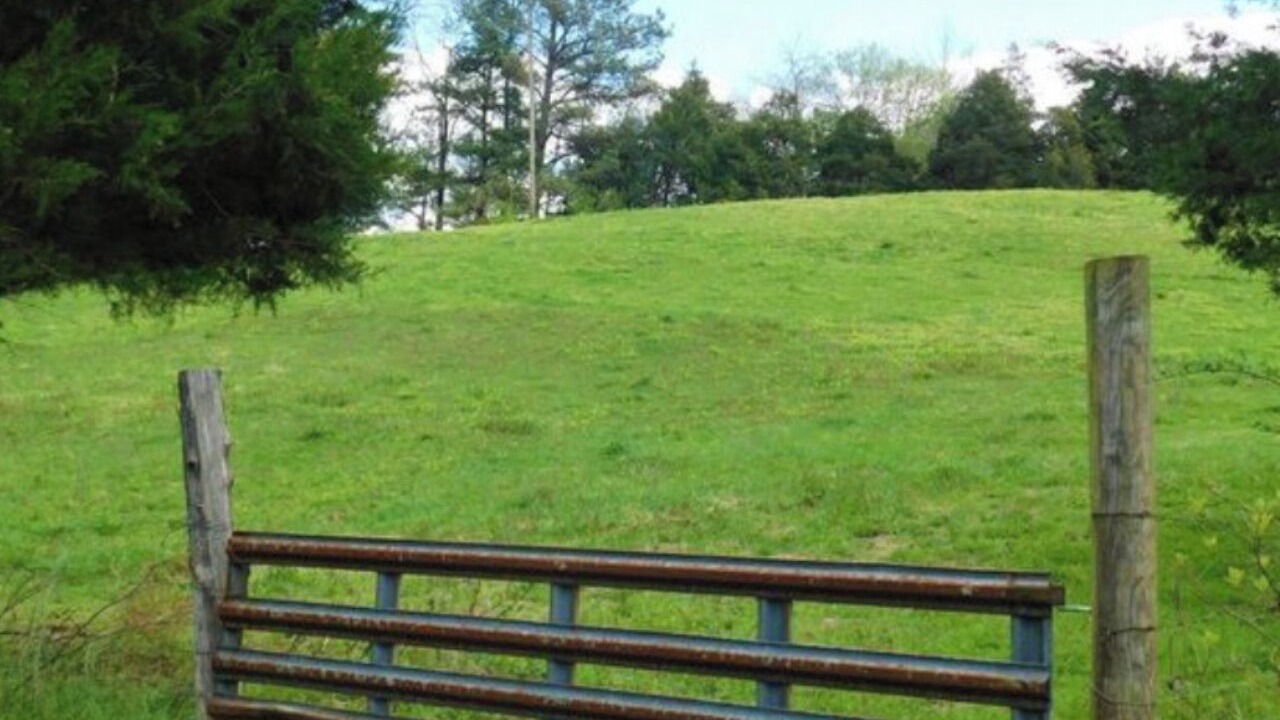 Photo of Outdoor in Roseland