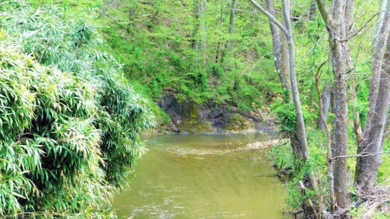Photo of Outdoor in Roseland