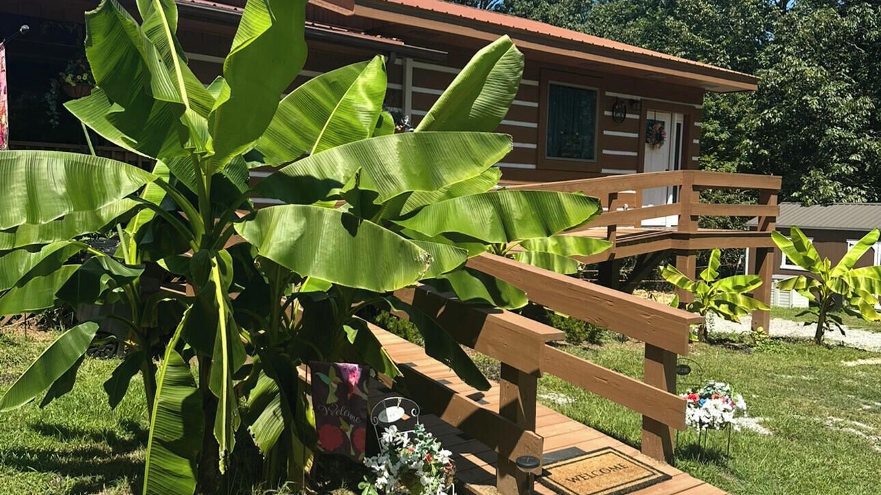 Photo of Outdoor in Muddy Pond